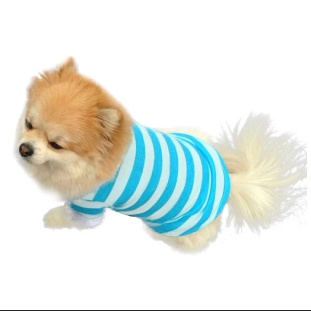 Blue and White Collar Doggie 🐶 Shirt